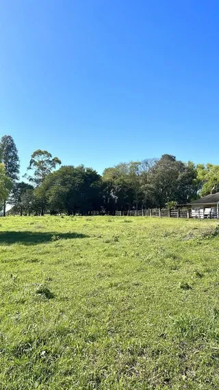 Vista de um campo gramado aberto com árvores e cerca no fundo.