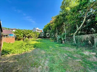 Terreno, foto 3
