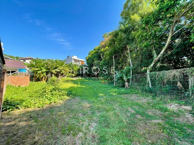 Terreno, foto 3