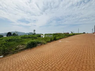 Vista da paisagem rural com vegetação e estrada.