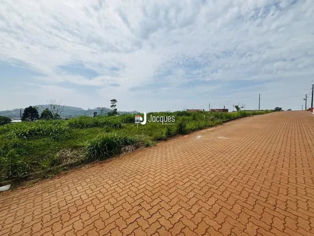Vista da paisagem rural com vegetação e estrada.