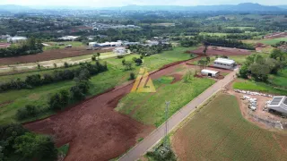 Terreno, foto 8