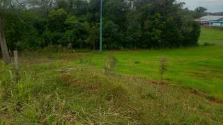Casa com 4 dormitórios, foto 12