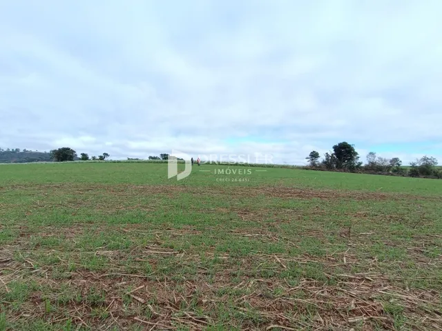 Campo aberto com vegetação verde e marrom sob um céu nublado.