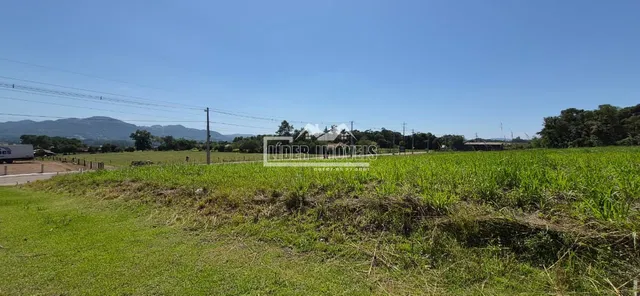 Terreno, foto 3