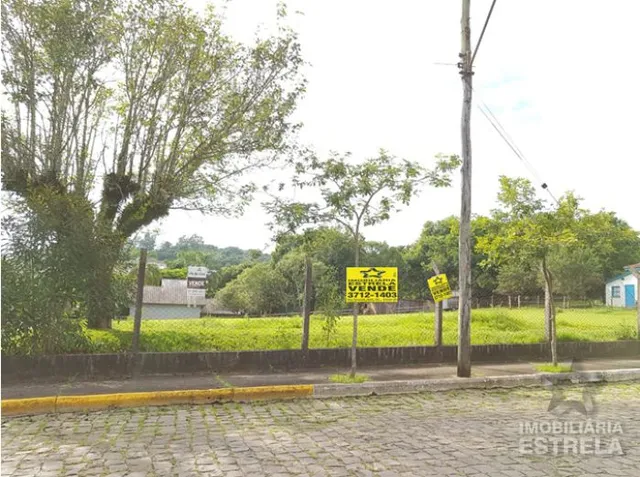 Terreno, foto 2