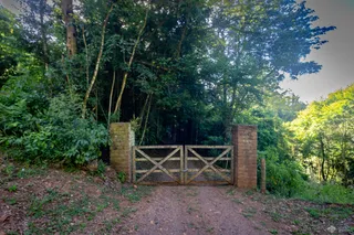 Área rural com 4 dormitórios, foto 47