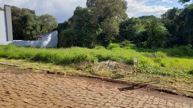Terreno