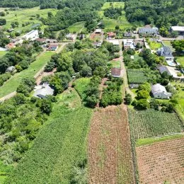 Área rural com 3 dormitórios, foto 5