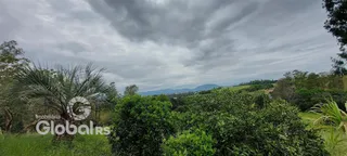 Vista de paisagem com vegetação densa e céu nublado em Lajeado.