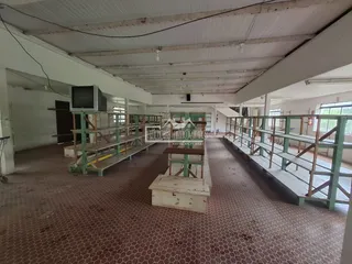 Área rural, foto 17