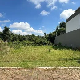 Vista externa de um terreno com grama e vegetação densa sob um céu azul.