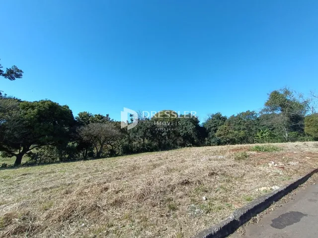 Campo gramado seco com árvores ao fundo sob um céu azul.