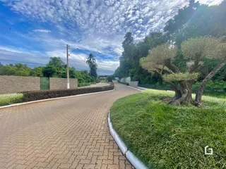 Terreno, foto 3