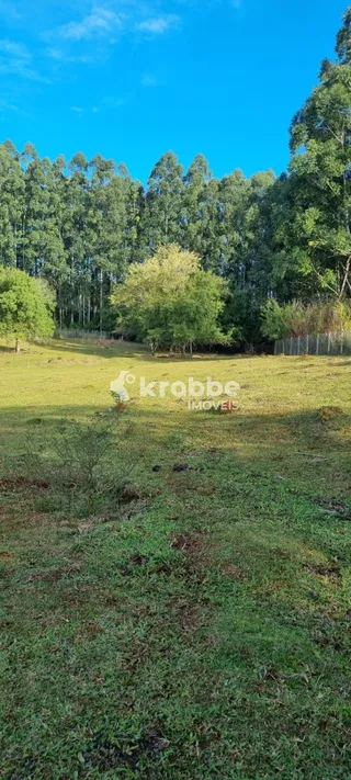 Área rural com 3 dormitórios, foto 11