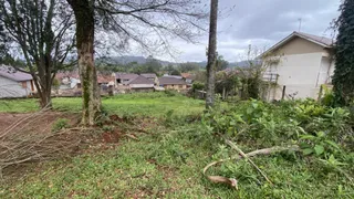 Vista externa de um terreno com vegetação densa e árvores em Lajeado, Brasil.