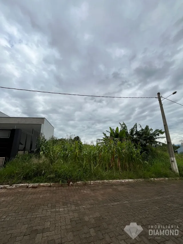 Terreno, foto 4