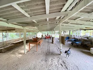Área rural com 3 dormitórios, foto 37