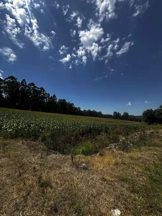 Imóvel, foto 5