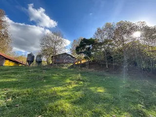 Vista externa de uma casa rústica cercada por grama e árvores sob um céu azul.