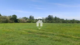 Campo verde com vegetação ao fundo.