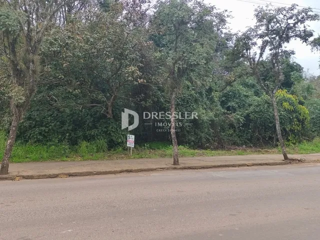 Vista da propriedade ao longo da rua com vegetação densa ao fundo.