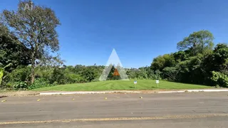 Terreno, foto 1