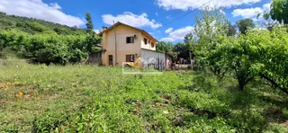 Área rural com 4 dormitórios, foto 4
