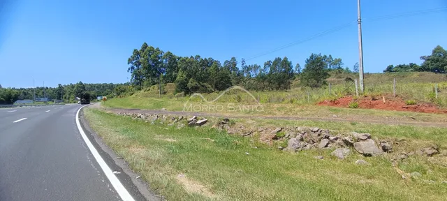 Vista de uma estrada asfaltada com vegetação ao lado em Lajeado.