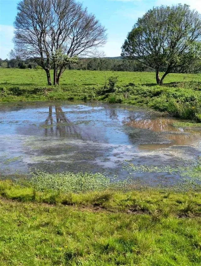 Área rural, foto 4