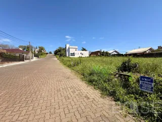 Terreno, foto 3
