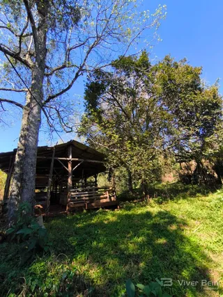 Área rural com 3 dormitórios, foto 17