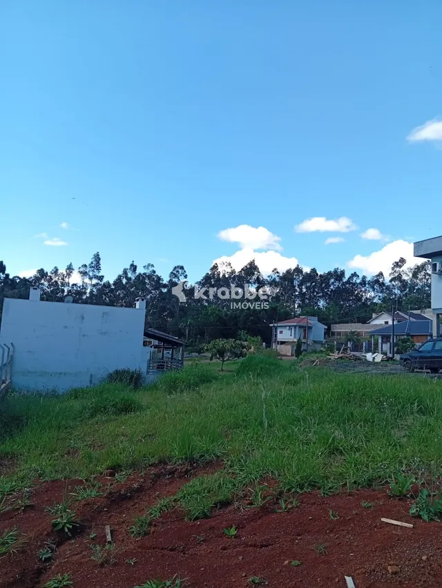 Terreno, foto 4