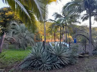 Área rural com 4 dormitórios, foto 7
