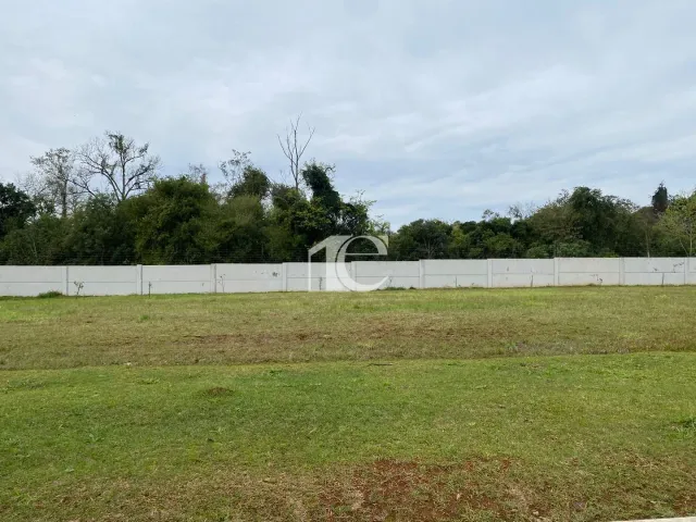 Terreno, foto 3