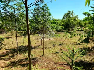 Área rural com 3 dormitórios, foto 24