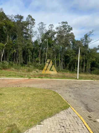 Terreno, foto 4