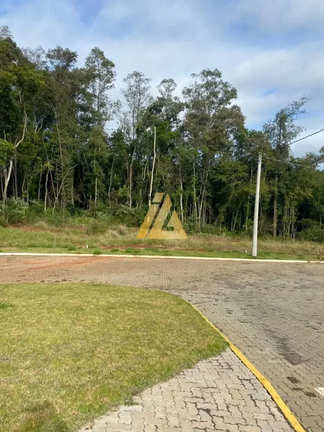 Terreno, foto 4