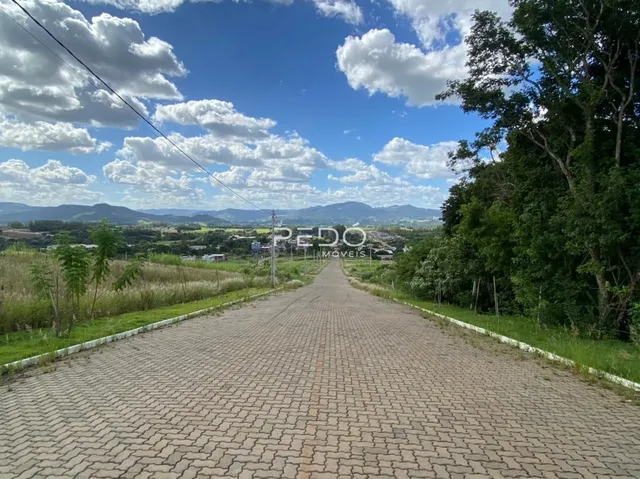 Terreno, foto 2