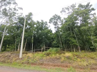 Área rural, foto 3