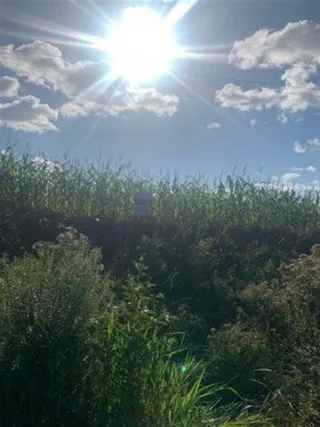 Área rural, foto 4