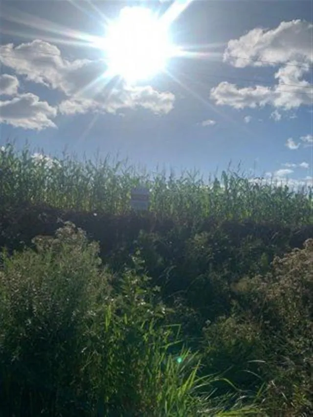 Área rural, foto 4