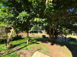 Área rural, foto 26