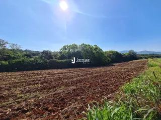 Campo de terra com vegetação e árvores ao fundo.