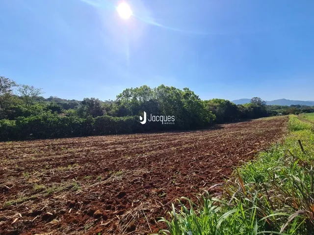 Campo de terra com vegetação e árvores ao fundo.