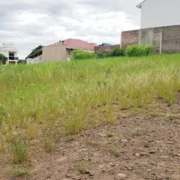 Foto de um terreno aberto com vegetação rasteira.