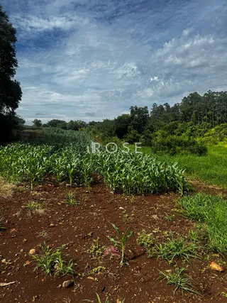 Área rural, foto 4