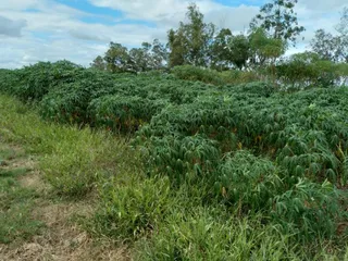 Área rural com 2 dormitórios, foto 16