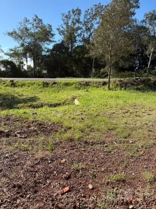 Terreno, foto 4