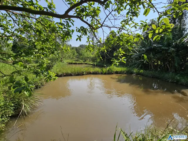 Área rural, foto 4